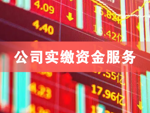 阳泉公司实缴资金服务